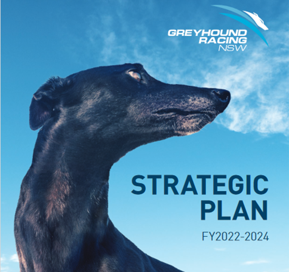 GRNSW 2022 24 960x600